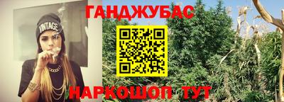 ПСИЛОЦИБИНОВЫЕ ГРИБЫ Краснодар