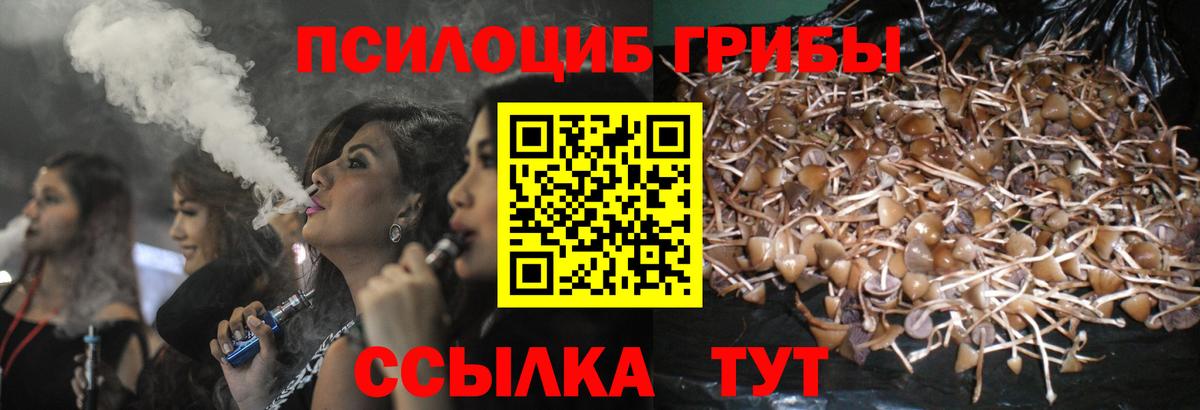 Псилоцибиновые грибы Psilocybine cubensis Черемхово
