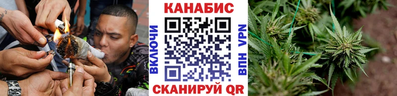 купить  цена  Черемхово  Конопля AK-47 