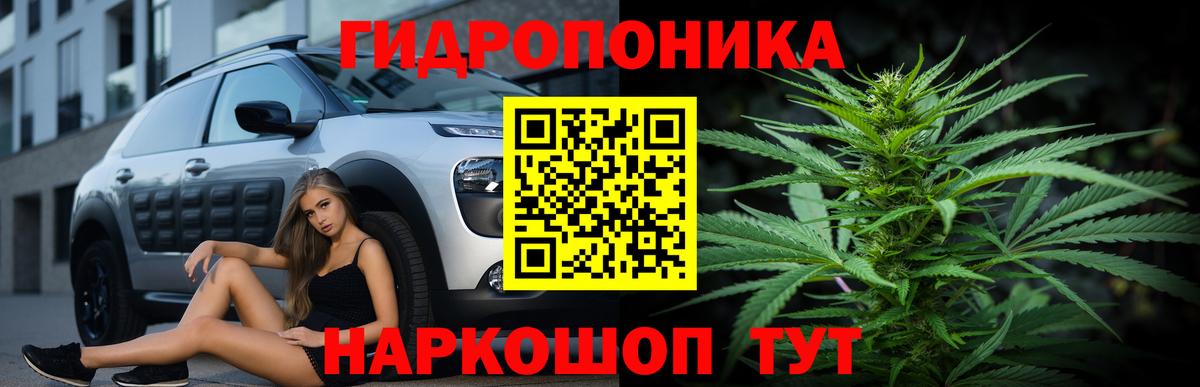 Бошки Шишки конопля  Канабис Bruce Banner  Вход с VPN  Черемхово  Канабис Ganja 